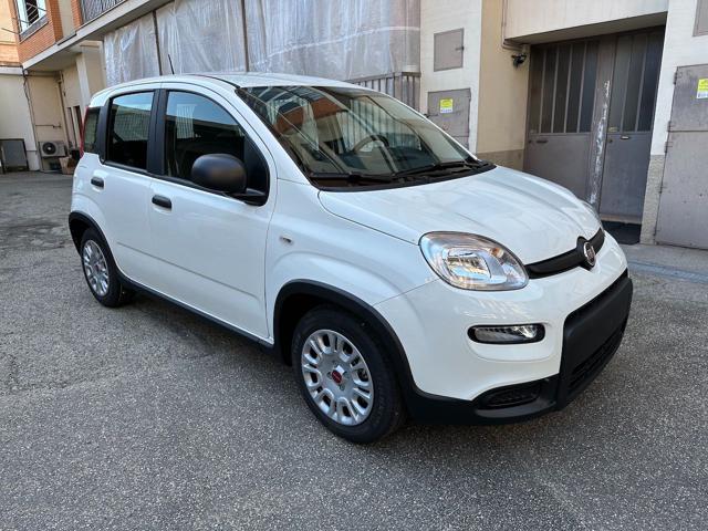 FIAT Panda usata, con Airbag Passeggero