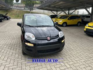 FIAT Panda usata, con Airbag Passeggero