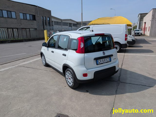 FIAT Panda usata 17