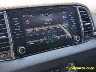 SKODA Karoq usata, con Filtro antiparticolato