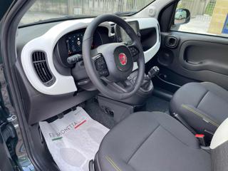 FIAT Panda usata, con Climatizzatore