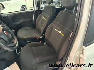 FIAT Panda usata, con ESP