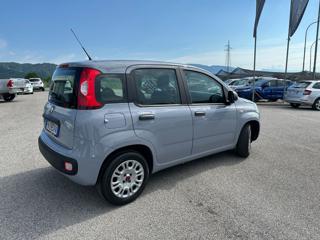 FIAT Panda usata, con Alzacristalli elettrici