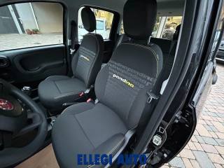 FIAT Panda usata, con Servosterzo