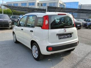FIAT Panda usata 20