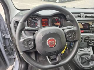 FIAT Panda usata, con Controllo trazione