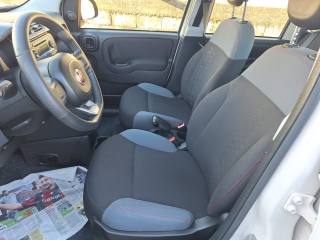 FIAT Panda usata, con Climatizzatore