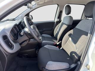 FIAT Panda usata 9