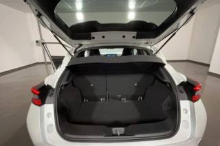 NISSAN Juke usata, con Autoradio digitale