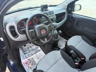 FIAT Panda usata, con Airbag testa