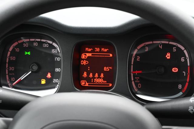 FIAT Panda Cross usata, con Vetri oscurati
