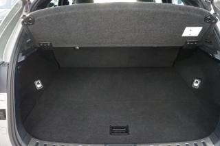 LEXUS NX 300h usata 31