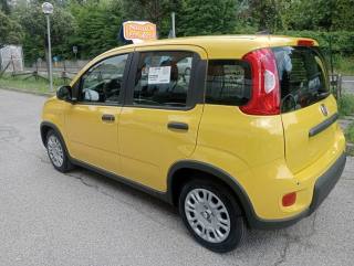 FIAT Panda usata, con Servosterzo