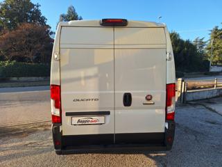 FIAT Ducato usata 12