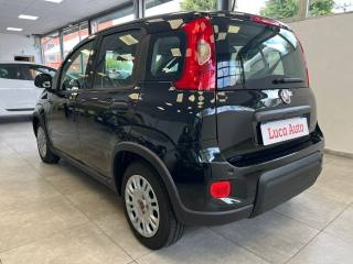 FIAT Panda usata, con Chiusura centralizzata