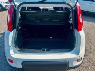 FIAT Panda usata 19
