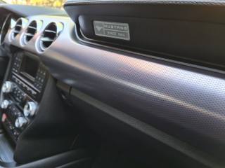 FORD Mustang usata, con Controllo trazione