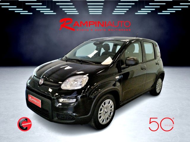 FIAT Panda usata 0