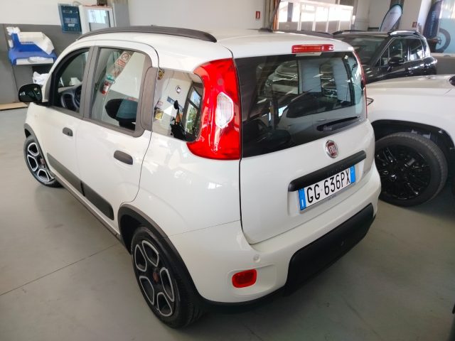 FIAT Panda usata 14