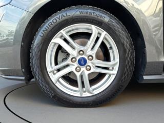 FORD Focus usata, con Fendinebbia