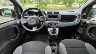 FIAT Panda usata 14
