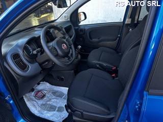 FIAT Panda Cross usata, con Controllo trazione