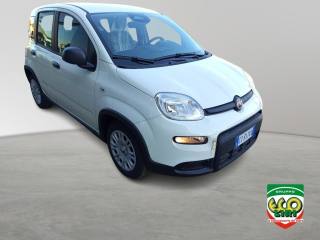 FIAT Panda usata, con ESP