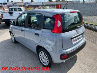 FIAT New Panda usata, con Airbag Passeggero