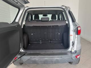 FORD EcoSport usata 6