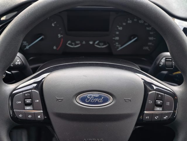 FORD Fiesta usata, con Cronologia tagliandi