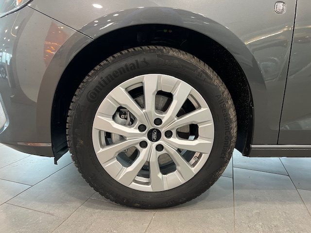 FORD Tourneo Connect usata, con Vetri oscurati