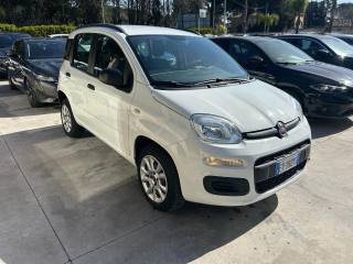 FIAT Panda usata, con Airbag Passeggero