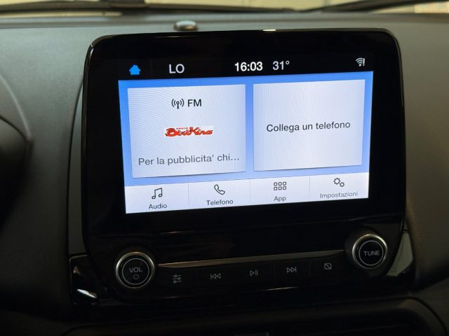 FORD EcoSport usata, con Sensore di pioggia