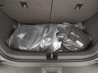 BYD Dolphin usata, con Servosterzo