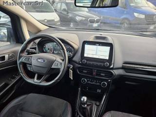 FORD EcoSport usata, con Fendinebbia