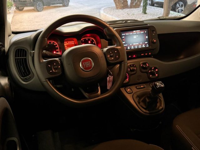 FIAT Panda Cross usata, con ESP