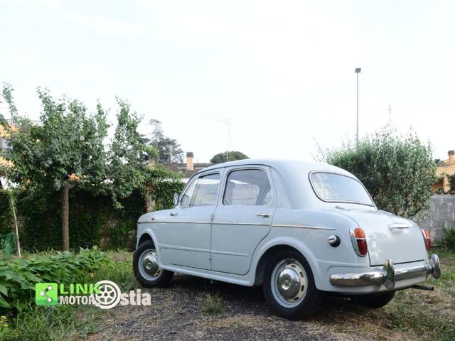 FIAT 1100 usata 28