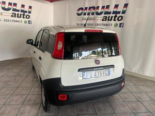 FIAT Panda usata, con Airbag Passeggero