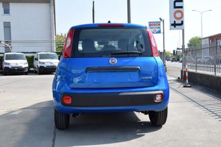 FIAT Panda usata, con Antifurto
