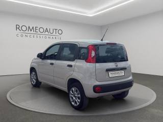 FIAT Panda usata, con Airbag Passeggero
