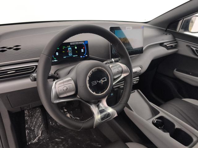 BYD Dolphin Surf usata, con Controllo automatico clima