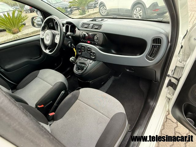 FIAT Panda usata 16