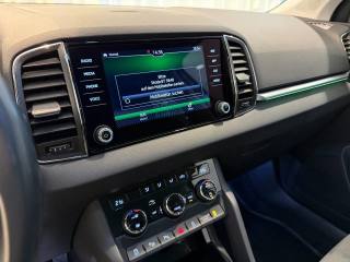 SKODA Karoq usata, con Interni in pelle