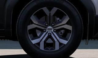 DACIA Duster usata, con Airbag Passeggero