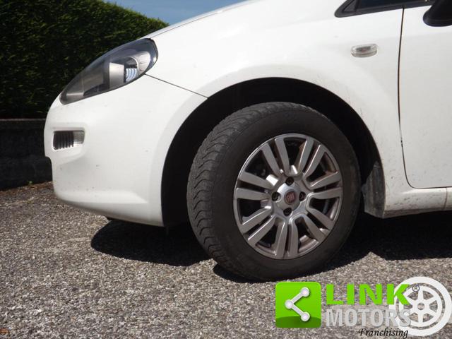 FIAT Punto usata 31