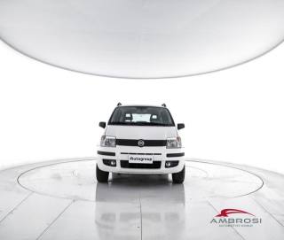 FIAT Panda usata 4