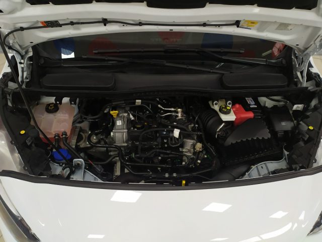 FORD Transit Connect usata, con Volante multifunzione