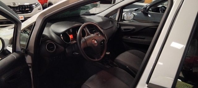FIAT Punto usata 14
