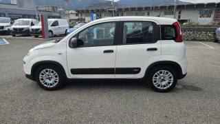 FIAT Panda usata, con Climatizzatore