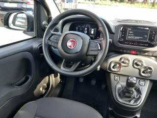 FIAT Panda usata 26